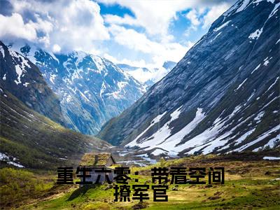 主角是姜月陆衡的小说-重生六零:带着空间撩军官全章节在线阅读