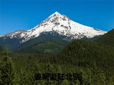 姜婉凝陆北骁小说全文(陆北骁姜婉凝)全文免费阅读无弹窗大结局_姜婉凝陆北骁小说全文最新章节列表_笔趣阁