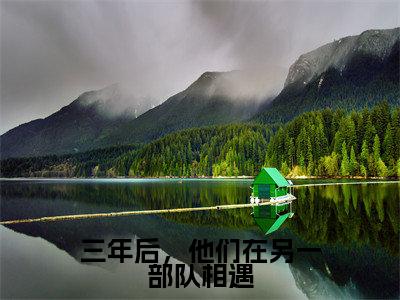 三年后,他们在另一部队相遇全文免费阅读大结局_三年后,他们在另一部队相遇(窈梨战京野)完整版在线赏析
