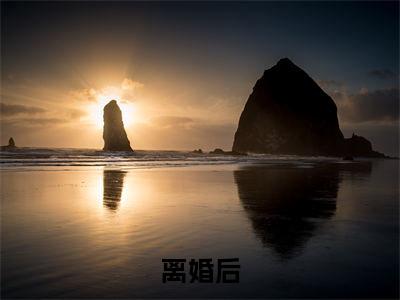 离婚后，老公天天跪求复合小说试读全篇（ 林语熙周晏京）全文免费阅读无弹窗大结局_（ 林语熙周晏京）章节列表_笔趣阁