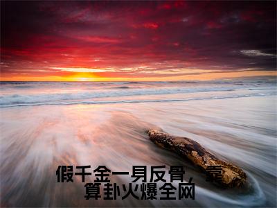 (慕楚沈轻小说完整版)假千金一身反骨,靠算卦火爆全网全文免费阅读-(假千金一身反骨,靠算卦火爆全网)慕楚沈轻小说最新章节列表