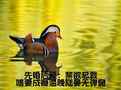先婚后爱：禁欲总裁嗜妻成瘾温晚陆晏正版小说全文阅读  温晚陆晏无删减版