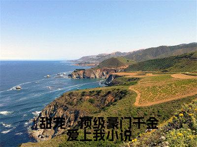 甜宠：顶级豪门千金爱上我 林风林薇薇正版小说全文阅读  林风林薇薇全文免费完整版