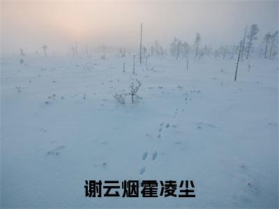 谢云烟霍凌尘（霍凌尘谢云烟）全文免费阅读无弹窗大结局_（谢云烟霍凌尘）霍凌尘谢云烟最新章节列表_笔趣阁