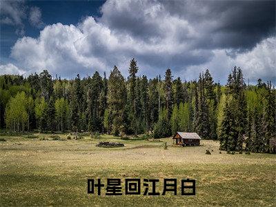 一见钟情：霸总他宠妻无度( 叶星回江月白)全文免费阅读_（ 叶星回江月白）小说一见钟情：霸总他宠妻无度最新章节阅读（一见钟情：霸总他宠妻无度）