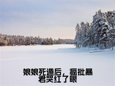 娘娘死遁后,疯批暴君哭红了眼小说全文免费阅读无弹窗大结局_(娘娘死遁后,疯批暴君哭红了眼全文免费阅读)叶晚棠谢韫臣最新章节列表笔趣阁