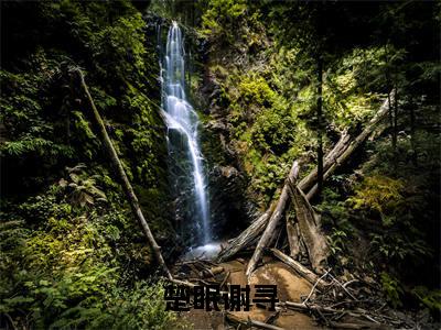 楚眠谢寻(谢寻楚眠)小说全文免费阅读正版无弹窗,楚眠谢寻免费阅读