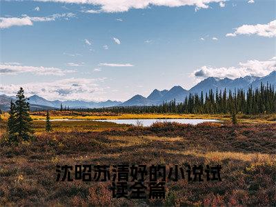 沈昭苏清妤的小说试读全篇全文阅读-（ 苏清妤沈之修）沈昭苏清妤的小说试读全篇小说全文免费阅读_最新章节列表_笔趣阁