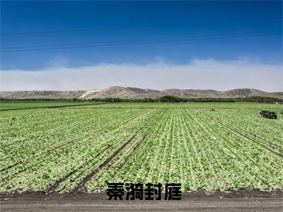  秦漪封庭（上恋综后，首富影帝求我回家）全文免费阅读_(上恋综后，首富影帝求我回家) 秦漪封庭最新章节列表_笔趣阁