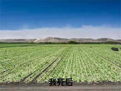 我死后，靠收集恐惧值无敌了（ 陈晞唐瑶）全文在线阅读无弹窗大结局_（ 陈晞唐瑶全文在线阅读无弹窗）我死后，靠收集恐惧值无敌了最新章节列表_笔趣阁（ 陈晞唐瑶）