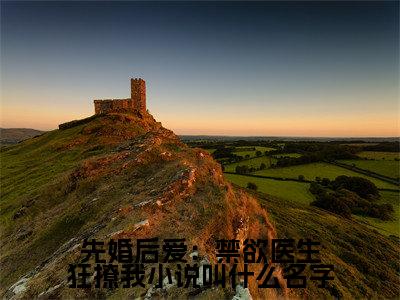 先婚后爱：禁欲医生狂撩我小说全文- 江乔裴知鹤无弹窗免费阅读
