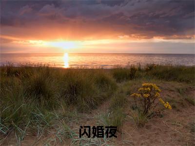  傅言枭覃潭闪婚夜，与我达成协议的疯批总裁反水了老书虫推荐小说免费阅读_（ 傅言枭覃潭）完整版全文在线赏析