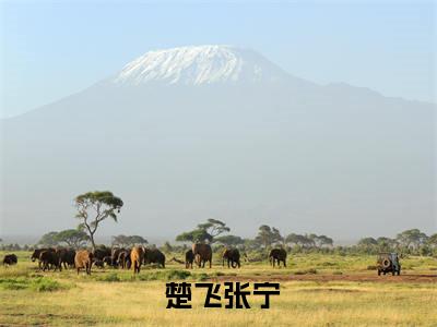  楚飞张宁（病中垂死挣扎，只为搞科研）未删减- 楚飞张宁完结版阅读地址