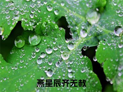 燕星辰齐无赦(齐无赦燕星辰)小说全文免费阅读-燕星辰齐无赦（齐无赦燕星辰）免费在线阅读完整版
