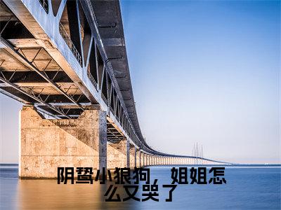 阴鸷小狼狗，姐姐怎么又哭了（沈清禾陆潜）多人推荐阅读-精选小说（沈清禾陆潜）完整版免费阅读