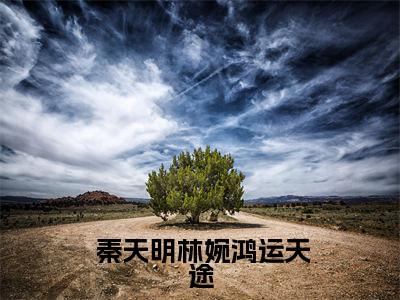 （热推新书）《鸿运天途》全文免费阅读最新章节大结局- 秦天明林婉无弹窗阅读