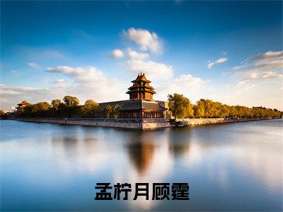孟柠月顾霆(顾霆孟柠月)全文免费阅读无弹窗大结局_孟柠月顾霆完本小说最新章节阅读