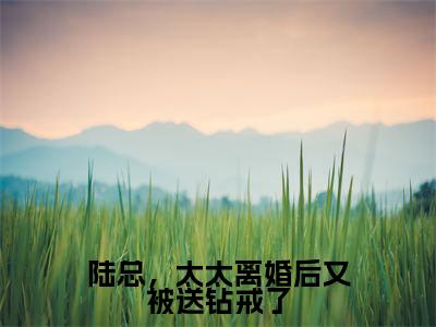 陆总，太太离婚后又被送钻戒了（梁锦柔陆宴峋小说免费阅读）全文免费阅读无弹窗大结局_（梁锦柔陆宴峋）陆总，太太离婚后又被送钻戒了小说免费阅读最新章节列表笔趣阁（梁锦柔陆宴峋免费阅读）