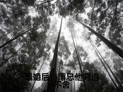 离婚后,薄总他穷追不舍(薄昀泽秦枝)全文免费完结版阅读_(薄昀泽秦枝)离婚后,薄总他穷追不舍最新章节列表笔趣阁(薄昀泽秦枝)