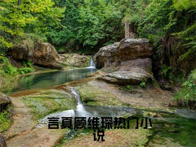 重生后怒甩渣夫，军婚甜如蜜小说最新章节- 言真顾维琛全文免费阅读无弹窗大结局
