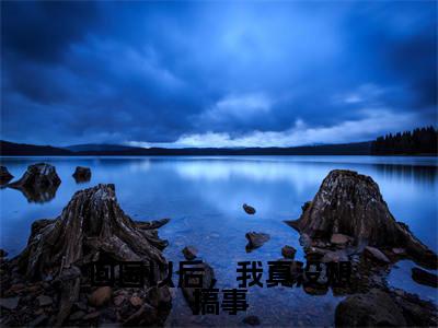 回国以后,我真没想搞事(王天)小说免费下载全本-回国以后,我真没想搞事(王天完整版)免费阅读(回国以后,我真没想搞事)