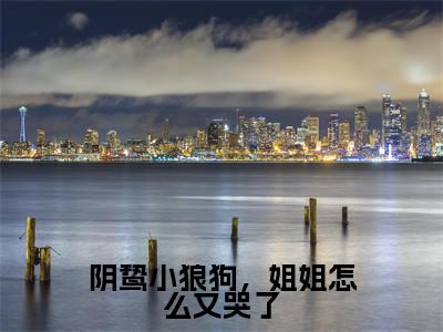 沈清禾陆潜免费阅读(阴鸷小狼狗,姐姐怎么又哭了)全文免费阅读无弹窗大结局_沈清禾陆潜免费阅读最新章节列表_笔趣阁(阴鸷小狼狗,姐姐怎么又哭了)