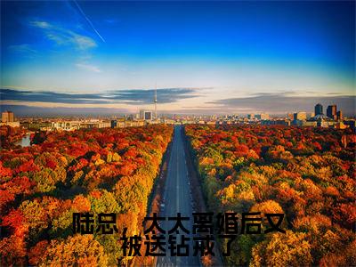陆总,太太离婚后又被送钻戒了小说讲的是什么-梁锦柔陆宴峋精彩章节目录观看