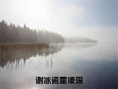 谢冰瓷霍凌琛(谢冰瓷霍凌琛)全文免费阅读无弹窗大结局_谢冰瓷霍凌琛全文免费阅读最新章节列表_笔趣阁（谢冰瓷霍凌琛）