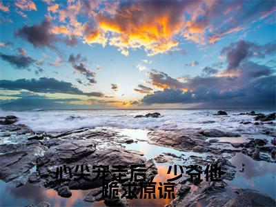 韩祈岑汐柚全文免费(心尖宠走后,少爷他跪求原谅)全文免费阅读无弹窗大结局_(心尖宠走后,少爷他跪求原谅全文免费韩祈岑汐柚)