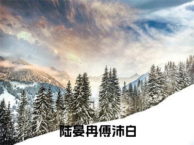 陆晏冉傅沛白（傅沛白陆晏冉）最火婚恋小说-（傅沛白陆晏冉）全文免费阅读笔趣阁