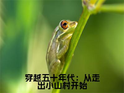 周兴然贺安安(穿越五十年代:从走出小山村开始)全文免费阅读无弹窗_穿越五十年代:从走出小山村开始最新小说_笔趣阁(周兴然贺安安)