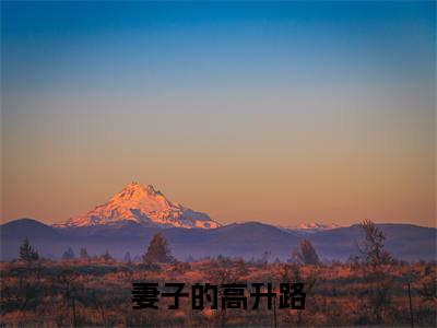 妻子的高升路( 崔向东楼晓雅)小说精彩免费内容_妻子的高升路 崔向东楼晓雅最新章节全文阅读（ 崔向东楼晓雅）