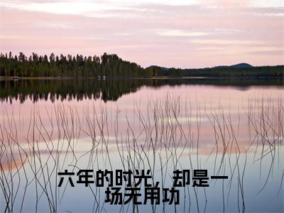 六年的时光，却是一场无用功小说（许幼笙顾屿）全文免费阅读大结局无删减_（许幼笙顾屿）六年的时光，却是一场无用功小说最新章节列表_笔趣阁（许幼笙顾屿）