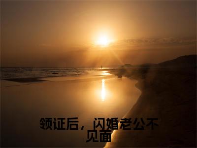 领证后，闪婚老公不见面小说全文免费阅读正版 莫菲菲楚风城免费阅读无弹窗