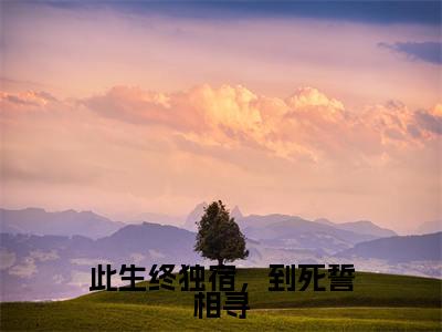 此生终独宿,到死誓相寻(阮碧霄钟承和)精彩小说-小说阮碧霄钟承和全文无删减版免费阅读