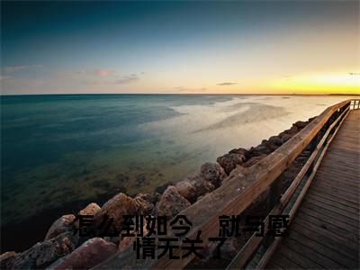 沈阙温天柔小说免费阅读全文(沈阙温天柔)全文免费阅读无弹窗大结局_怎么到如今,就与感情无关了最新章节列表_笔趣阁(沈阙温天柔)