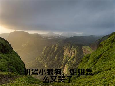 阴鸷小狼狗，姐姐怎么又哭了（沈清禾陆潜全文）全文免费阅读无弹窗大结局_（沈清禾陆潜）阴鸷小狼狗，姐姐怎么又哭了全文小说最新章节列表笔趣阁（沈清禾陆潜全文）