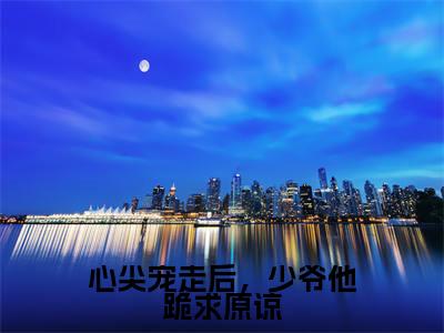 心尖宠走后,少爷他跪求原谅小说全文免费阅读无弹窗大结局_心尖宠走后,少爷他跪求原谅最新章节列表_笔趣阁
