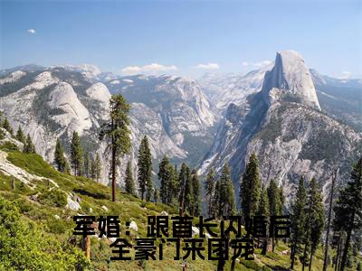 军婚：跟首长闪婚后全豪门来团宠高甜小说最新章节-沈欢傅宴庭全文阅读