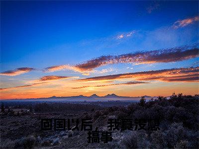 王天全文免费阅读-回国以后,我真没想搞事最新章节小说免费阅读
