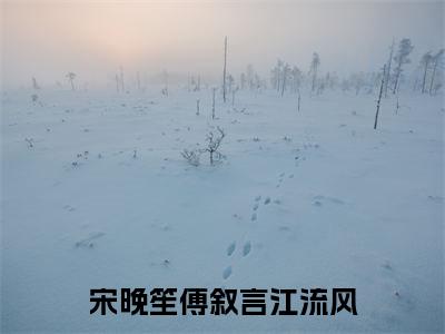 宋晚笙傅叙言江流风精彩章节在线阅读_傅叙言江流风宋晚笙免费观看(宋晚笙傅叙言江流风)完结版_笔趣阁(傅叙言江流风宋晚笙)