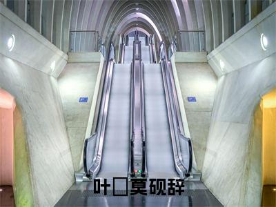 莫砚辞叶婳在线阅读（叶婳莫砚辞小说）全文免费阅读无弹窗大结局_叶婳莫砚辞免费最新章节列表_笔趣阁（莫砚辞叶婳小说）
