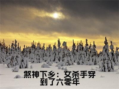 《煞神下乡：女杀手穿到了六零年》无弹窗大结局（ 沈军辉安丽娟）-抖音热推煞神下乡：女杀手穿到了六零年无弹窗阅读最新章节列表_笔趣阁