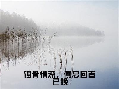 蚀骨情深,傅总回首已晚小说全文免费阅读正版 许乔傅柏修免费阅读无弹窗