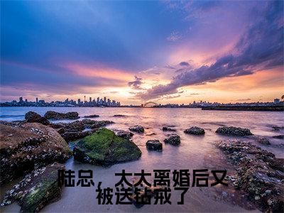 陆总,太太离婚后又被送钻戒了(梁锦柔陆宴峋)小说精彩免费内容_陆总,太太离婚后又被送钻戒了梁锦柔陆宴峋最新章节全文阅读(梁锦柔陆宴峋)