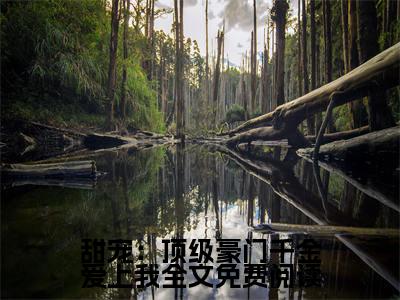 甜宠：顶级豪门千金爱上我小说（ 林风林薇薇）精彩章节- 林风林薇薇全文免费在线阅读