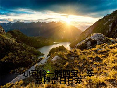 盛朝朝季宴礼小说在线阅读(小可怜一胎四宝,季总抱走日日宠)全文免费阅读无弹窗大结局_盛朝朝季宴礼小说免费最新章节列表_笔趣阁(小可怜一胎四宝,季总抱走日日宠)