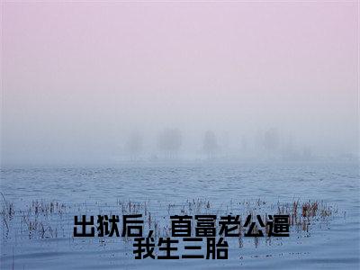 出狱后,首富老公逼我生三胎小说全文免费阅读(宋欢傅辰年)全文免费宋欢傅辰年读无弹窗大结局出狱后,首富老公逼我生三胎