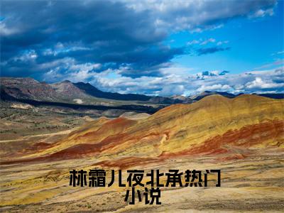 （ 林霜儿夜北承）是什么小说-（婢子绝色）全文免费阅读无弹窗大结局（ 林霜儿夜北承）最新章节列表_笔趣阁