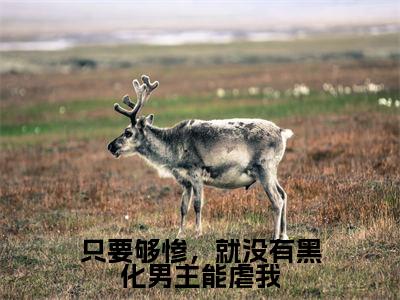 只要够惨，就没有黑化男主能虐我(秦意离)全文免费阅读无弹窗大结局_(秦意离免费阅读全文大结局)最新章节列表_笔趣阁